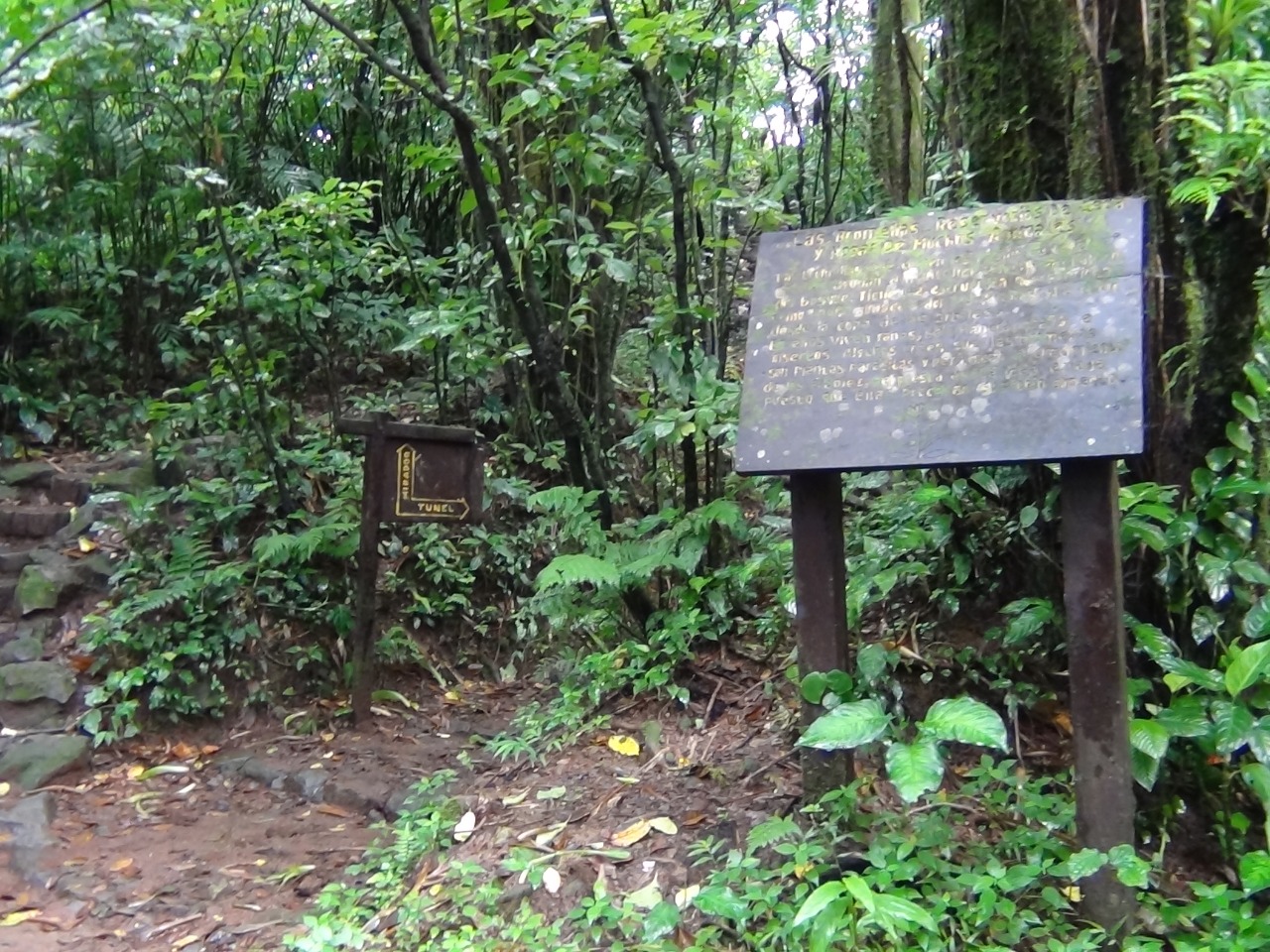 Mombacho1